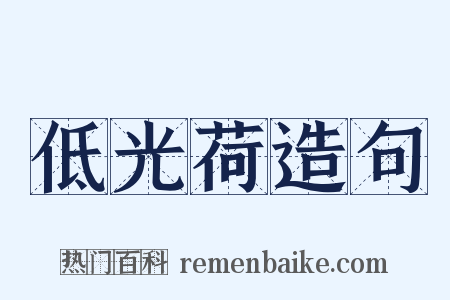 低光荷造句是什么意思的图片